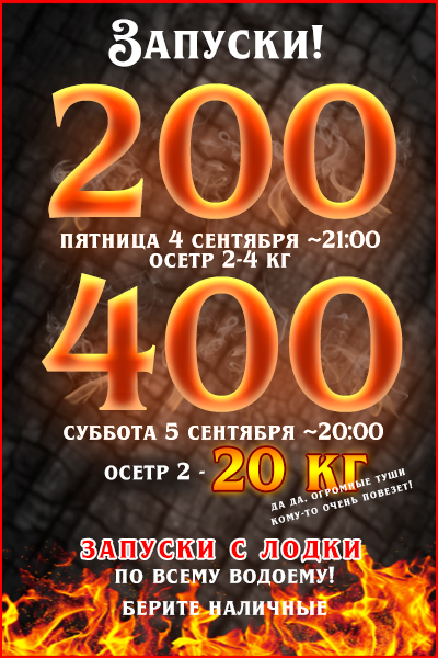Огромные осетры в выходные!