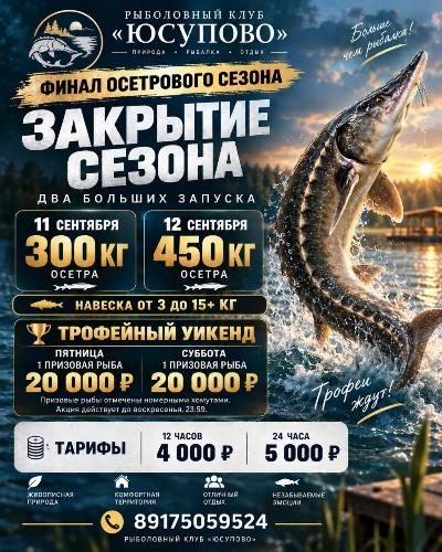 Закрытие сезона осетра! 750 кг на выходные!