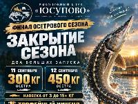 Закрытие сезона осетра! 750 кг на выходные! Закрытие сезона осетра! 750 кг на выходные!